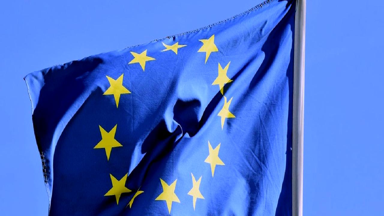 AB'nin kadına yönelik şiddetle mücadele yasa tasarısı, Avrupa Birliği'nin cinsiyet