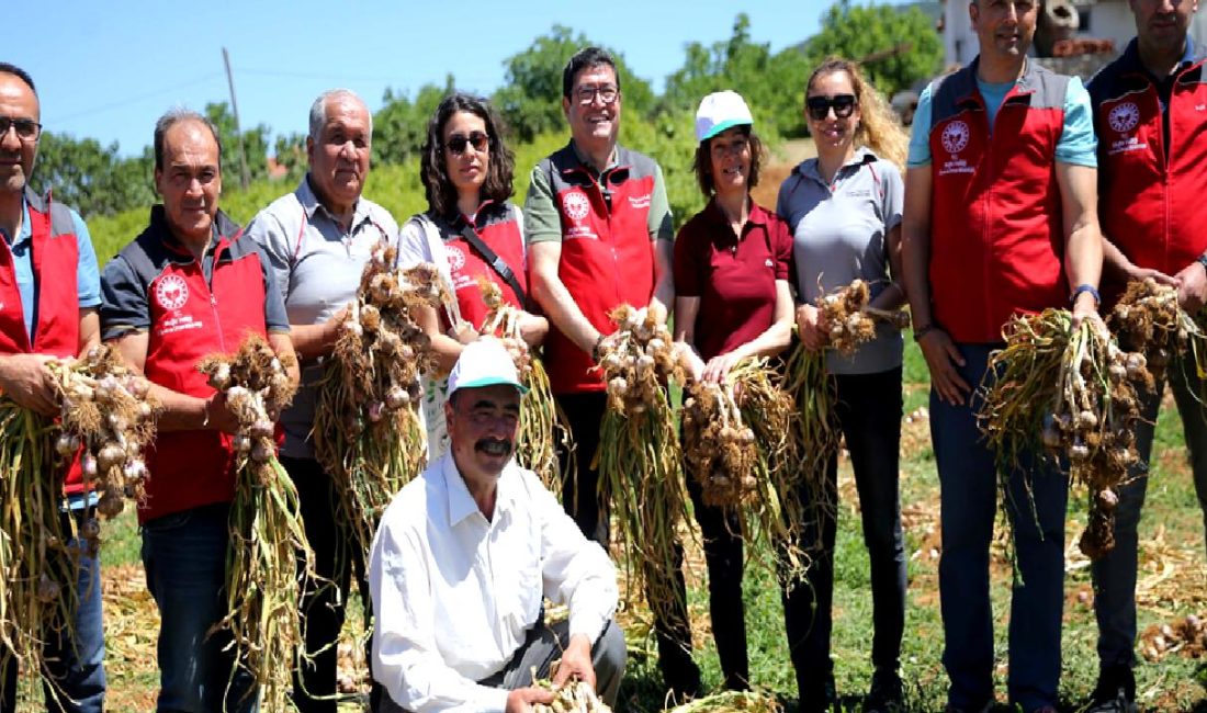 Barış Saylak'ın yönettiği ve Ula Sarımsağı'nın başrolünde olduğu proje hakkında