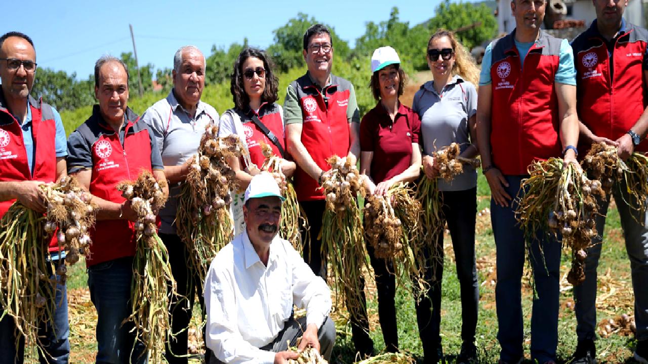 Barış Saylak'ın yönettiği ve Ula Sarımsağı'nın başrolünde olduğu proje hakkında