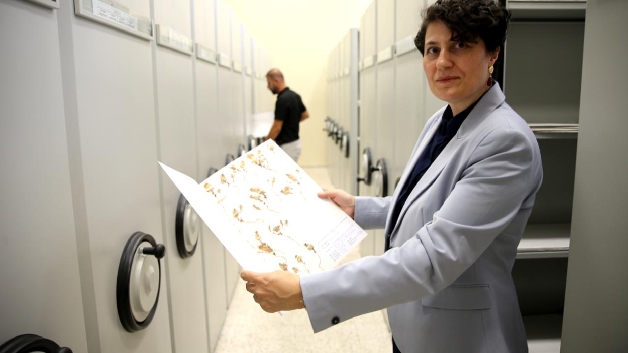 Botan Herbaryumu, bitki çeşitliliğini koruyan ve kayıt altına alan öncü