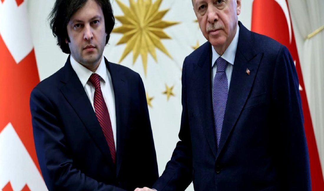 Türkiye Cumhurbaşkanı Erdoğan ile Gürcistan Başbakanı Kobakhidze arasındaki önemli görüşme