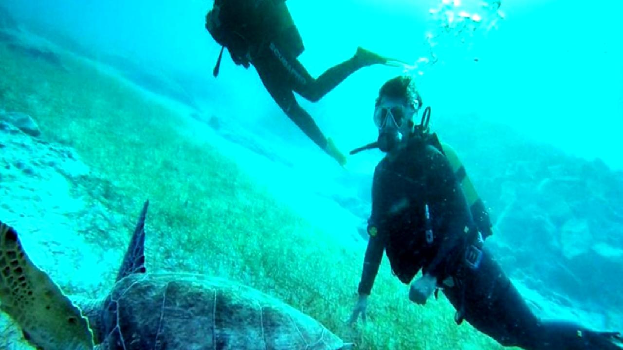 Deniz yaşamını etkileyen ses dalgaları, AIMS Araştırması ile inceleniyor. Deniz