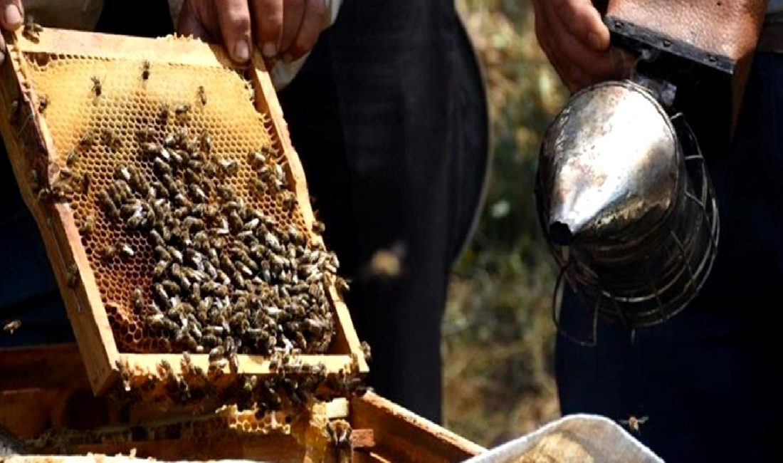 Doğu Karadeniz İhracatçılar Birliği’nden Bal İhracatında Rekor Artış Doğu Karadeniz İhracatçılar Birliği'nin bal ihracatında kaydettiği rekor artışı hakkında
