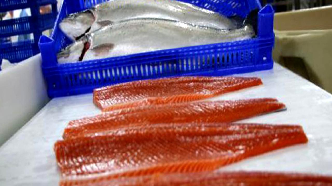 Doğu Karadeniz İhracatçılar Birliği'nin son verilerine göre, Türkiye'nin somon ihracatı