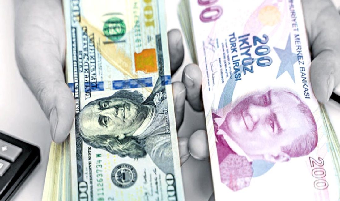 Döviz fiyatları ve önemi konulu içerikte, döviz kurlarının ekonomi üzerindeki