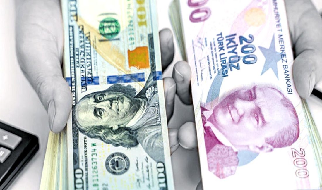 Döviz fiyatları ve Türkiye ekonomisi hakkında güncel bilgiler. Dolar, Euro,