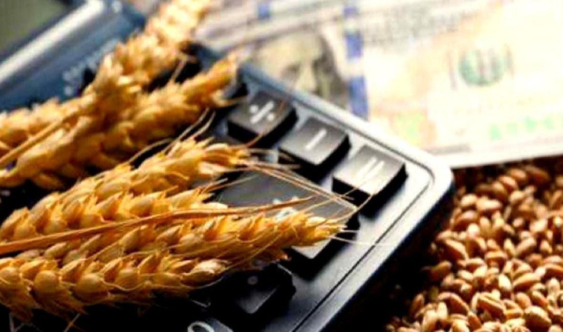 Fed yetkilileri, ekonomik verilerin daha iyi anlaşılması için faiz indirimi