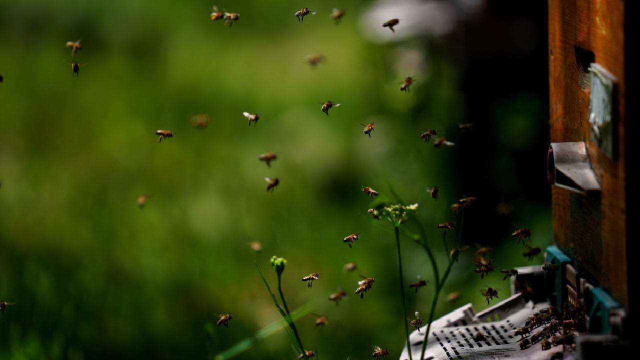 Hacettepe Üniversitesi Uygulamalı Biyoloji Anabilim Dalı Öğretim Üyesi Prof. Dr.