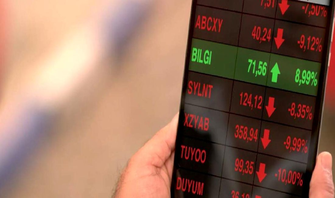 Halka arz ve yatırımcı sayısındaki değişim konulu içeriğimizde, şirketlerin halka