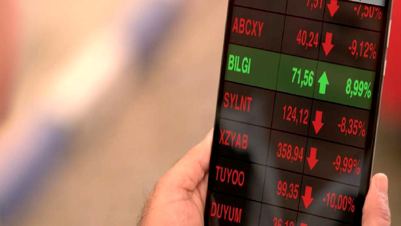 Halka arz ve yatırımcı sayısındaki değişim konulu içeriğimizde, şirketlerin halka