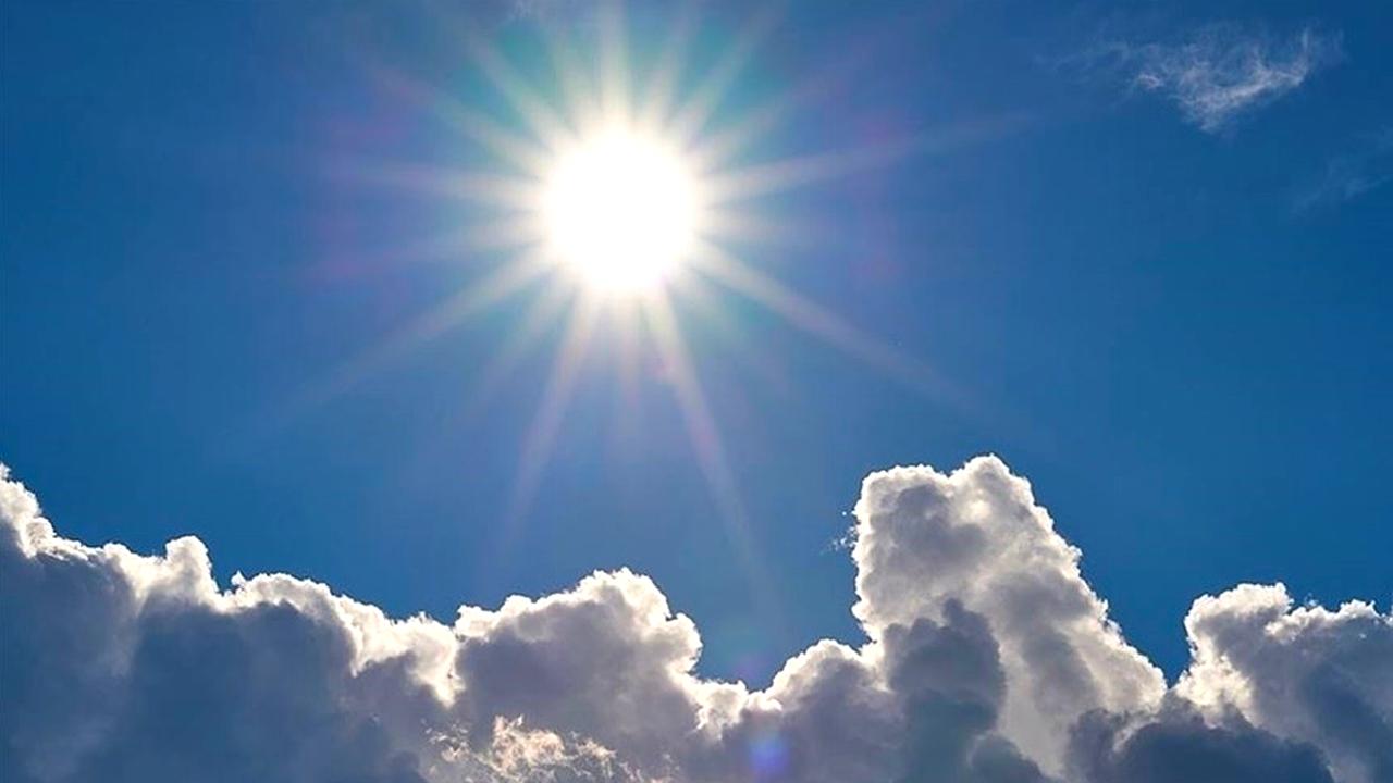 İklim değişikliği, dünyadaki hayvanların yaşamını olumsuz etkileyen önemli bir faktördür.