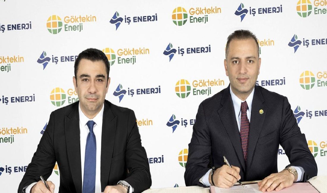 İş Enerji, yenilenebilir enerji potansiyelini artırmak için stratejiler geliştiriyor. Düşük