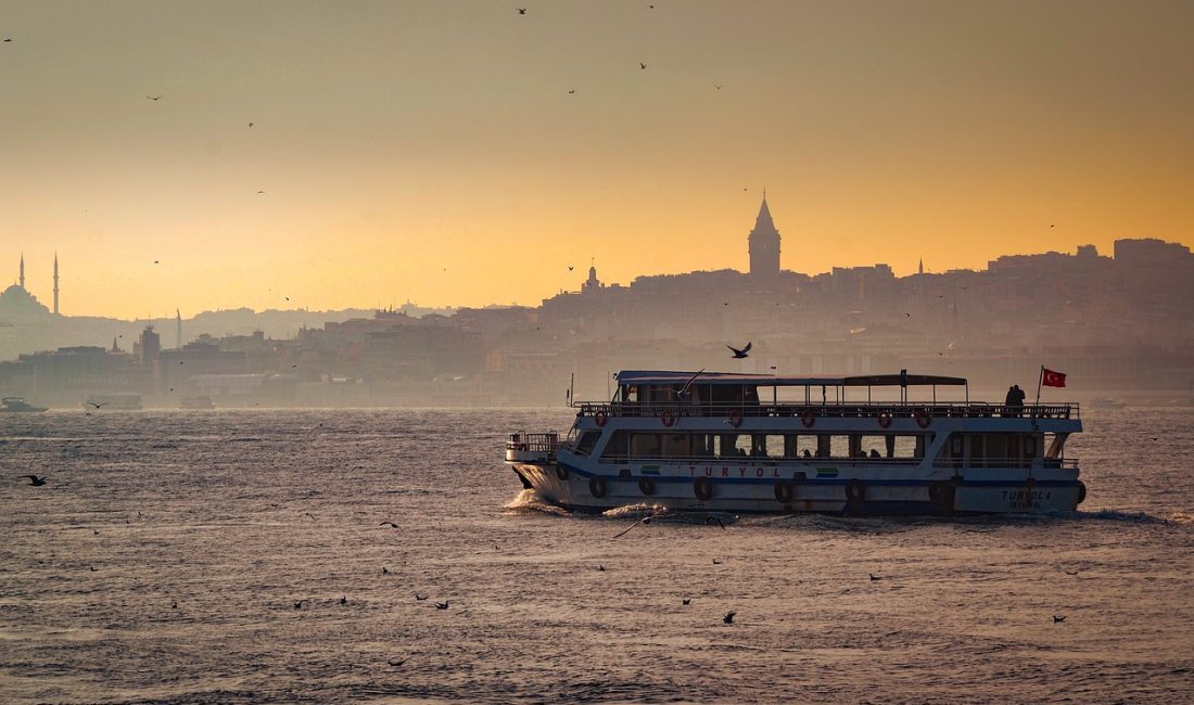 İstanbul Arnavutköy Ormanlarında İnsan Kalıntıları Bulundu İstanbul Arnavutköy Ormanları'nda korkunç bir keşif! İnsan kalıntıları bulundu. Olayın