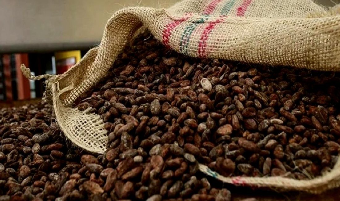 Kakao Fiyatlarındaki Dalgalanmalar Kakao fiyatlarındaki dalgalanmalar, kakao endüstrisindeki değişimleri ve etkilerini inceler. Kakao