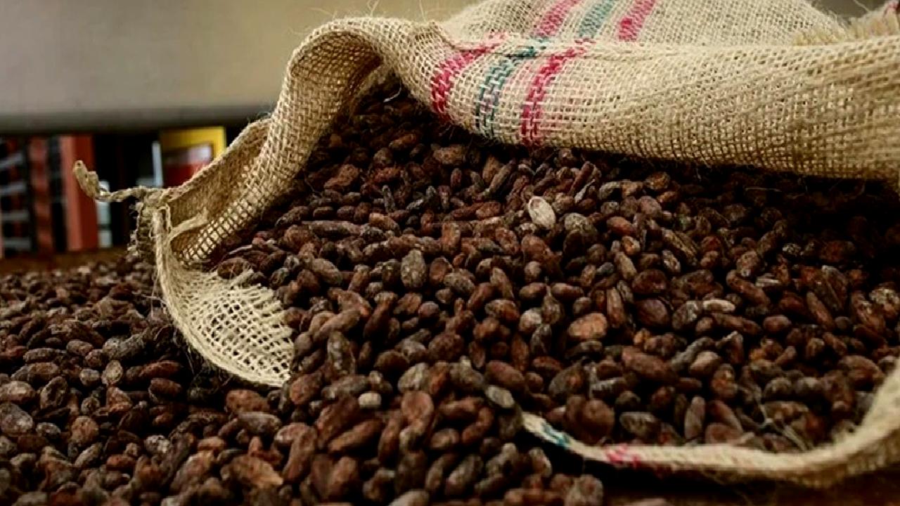 Kakao fiyatlarındaki dalgalanmalar, kakao endüstrisindeki değişimleri ve etkilerini inceler. Kakao