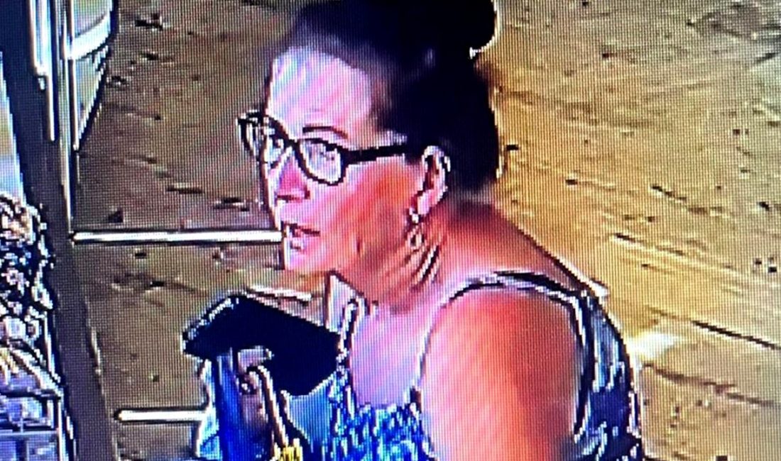 Kayıp Turistin Dramı: Domuzçukuru’nda Tragedi Domuzçukuru'nda kaybolan turistin dramı! Gerilim dolu anlar ve trajik olaylarla