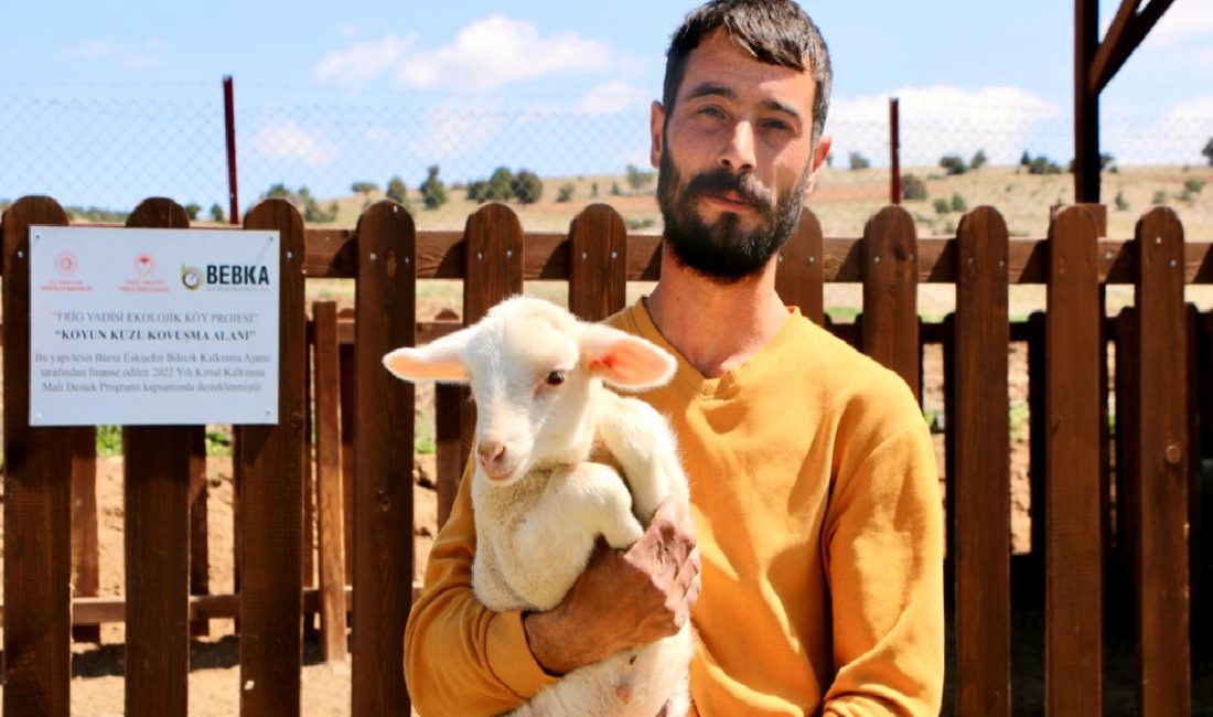 Küçükbaş Hayvancılığa Geçiş Hikayesi: Büyükbaştan Küçükbaşa Büyükbaştan küçükbaş hayvancılığa geçiş hikayesi, küçükbaş hayvan yetiştiriciliği ile ilgilenenler