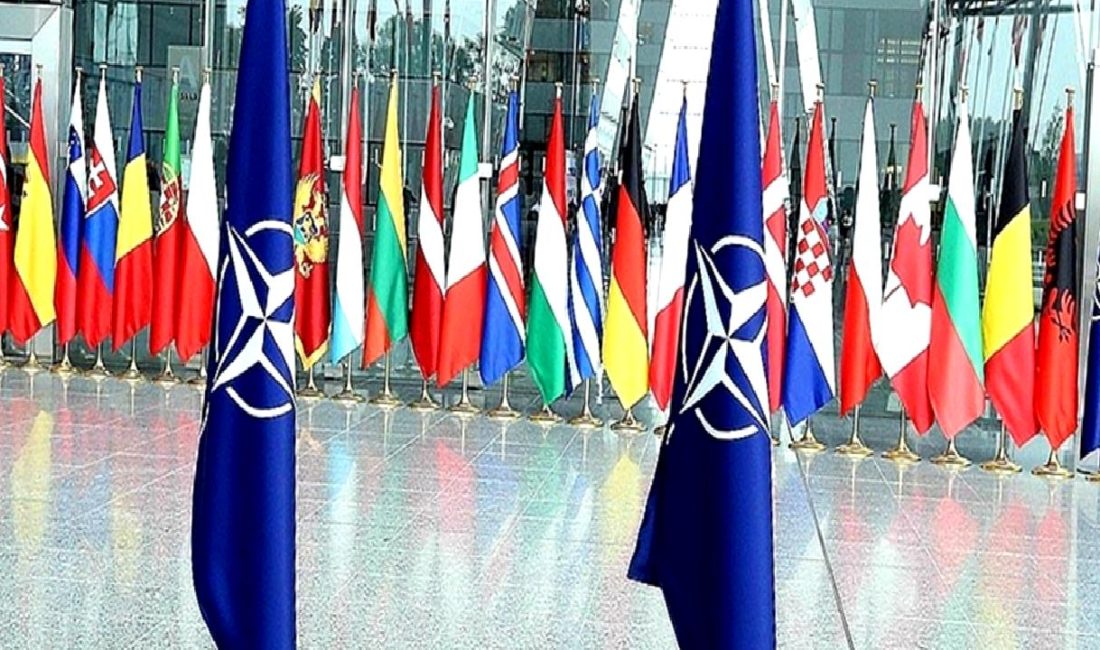 NATO Parlamenter Asamblesi İlkbahar Toplantısı NATO Parlamenter Asamblesi'nin ilkbahar toplantısı hakkında güncel bilgiler, kararlar ve