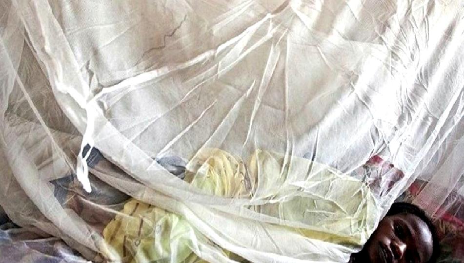 Nijerya'da Lassa ateşi salgını hala etkisini sürdürüyor. Son gelişmeler, tedbirler