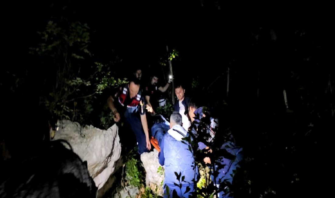 Olta balıkçılarının zorlu mücadelesini ve yaşadıkları dramı anlatan içeriği keşfedin.