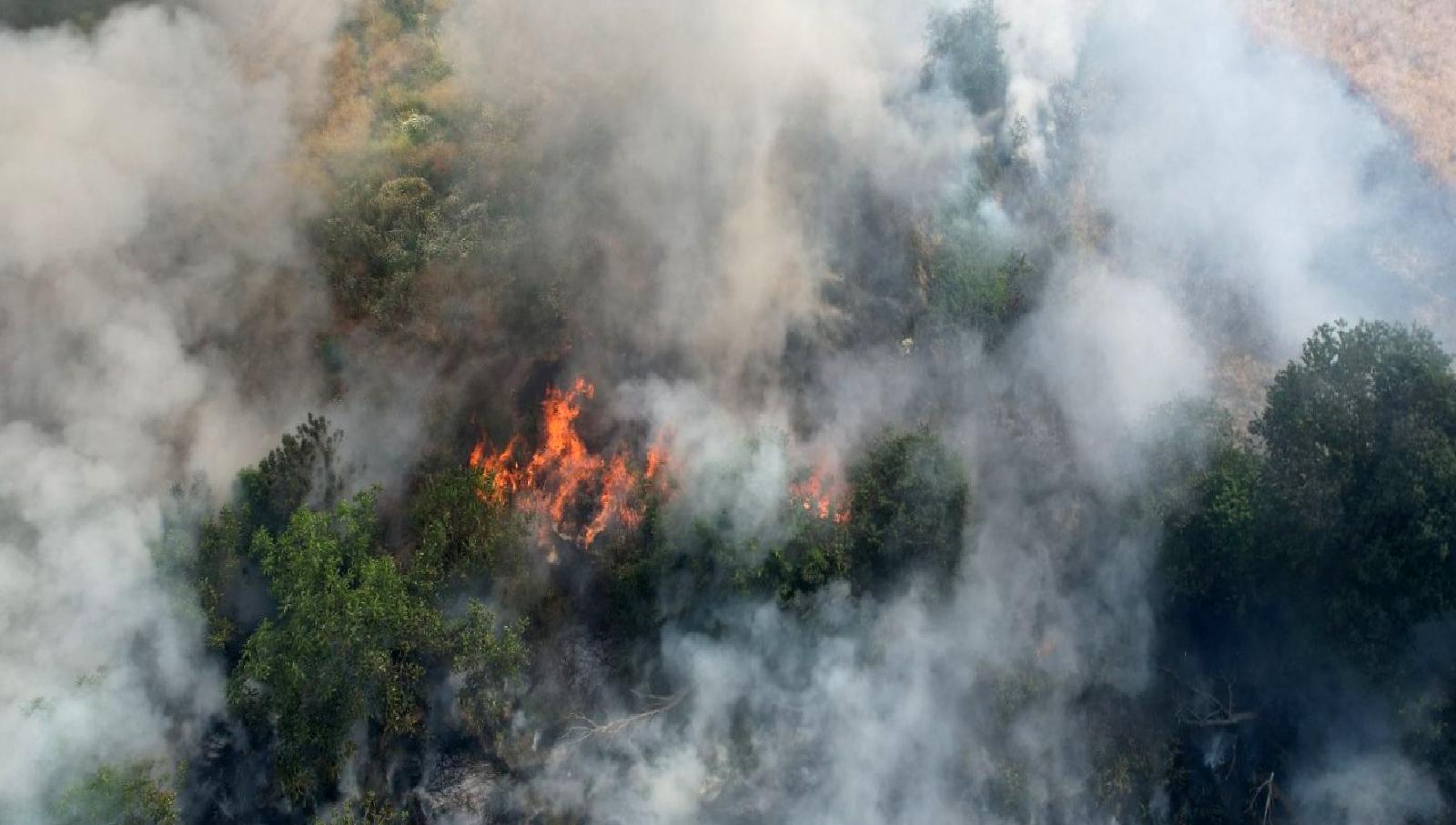 Denizli ilinin Pamukkale ilçesinde bulunan bir incir bahçesinde çıkan yangın