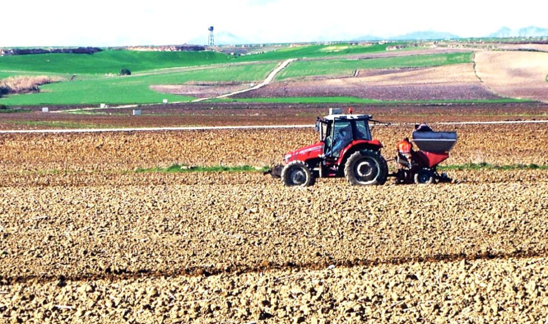 Patates Üreticileri Sıkıntıda Türkiye'deki patates üreticileri zor durumda! Tarım sektöründeki sıkıntılar ele alınıyor.