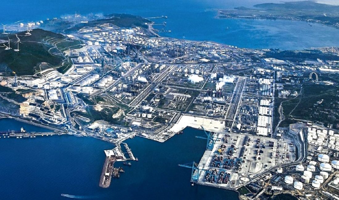 Petkim'in 2024 faaliyet raporu detaylı bir şekilde inceleniyor. Şirketin performansı,