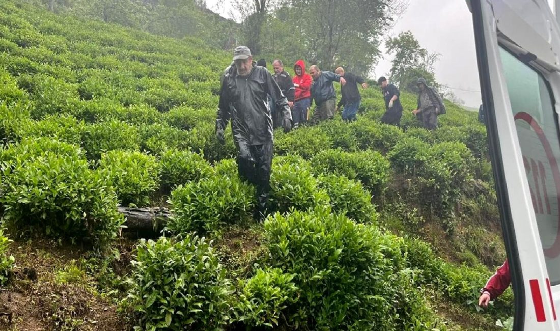 Rize'nin Muradiye beldesinde yaşanan çay hasadı sırasındaki kaza anları. İşçilerin