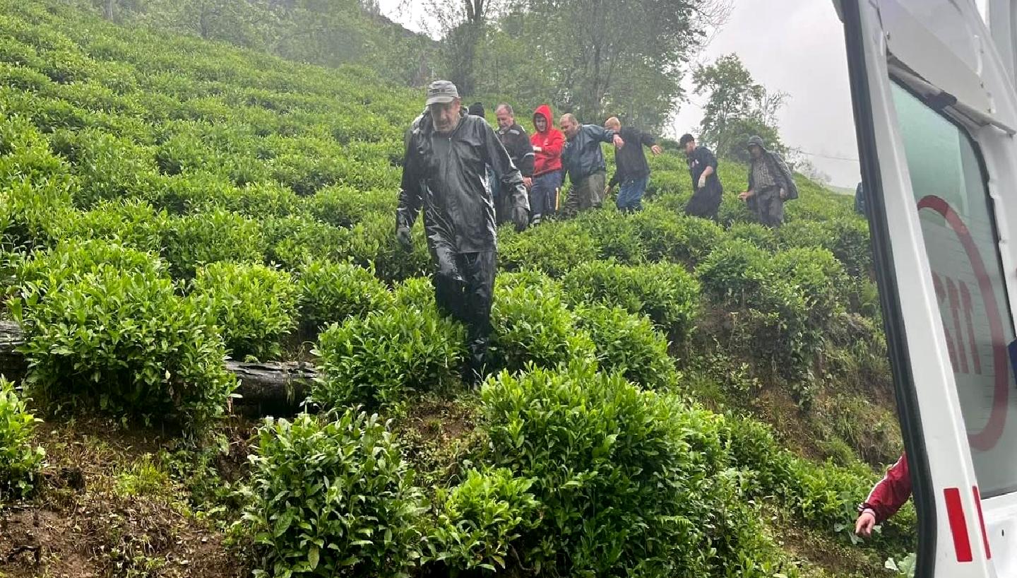 Rize'nin Muradiye beldesinde yaşanan çay hasadı sırasındaki kaza anları. İşçilerin