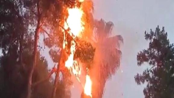 Şanlıurfa'da yıldırım düşen palmiye ağacında çıkan yangın büyük bir tehlike