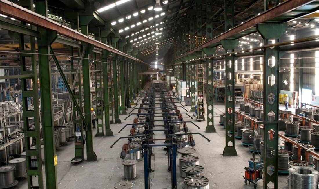 Şirketin Halka Arzı ve Kotasyon Yönergeleri Şirketin halka arzı süreci ve borsaya kotasyon yönergeleri hakkında detaylı