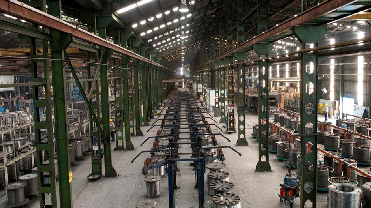 Şirketin halka arzı süreci ve borsaya kotasyon yönergeleri hakkında detaylı