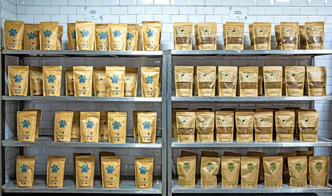 Sorumlu Restoran Hareketi ve Gıda Atık Döngüsü Projesi, restoranların çevre