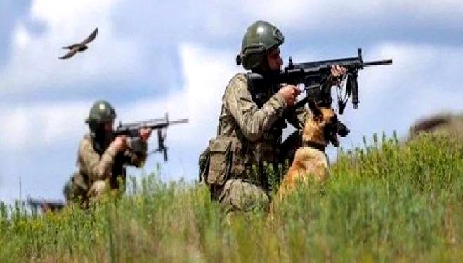 Türk Silahlı Kuvvetleri'nin terörle mücadelesi kapsamında yakalanan şüpheliler ve operasyonlar