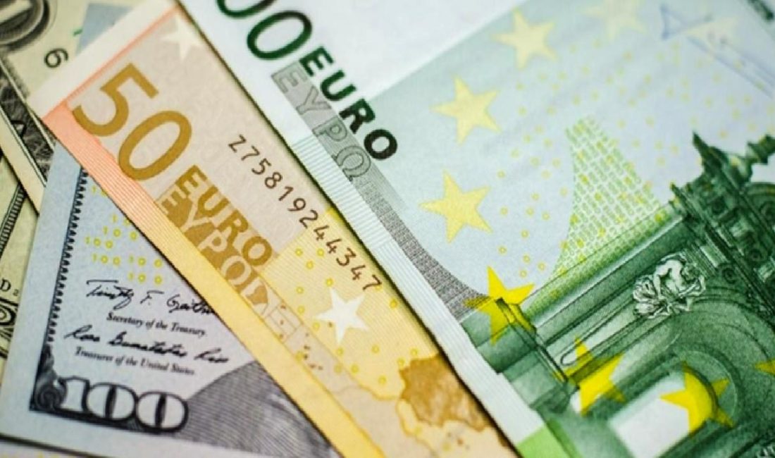 Türk Lirası değer kaybı ve TCMB'nin enflasyon tahmini üzerine detaylı