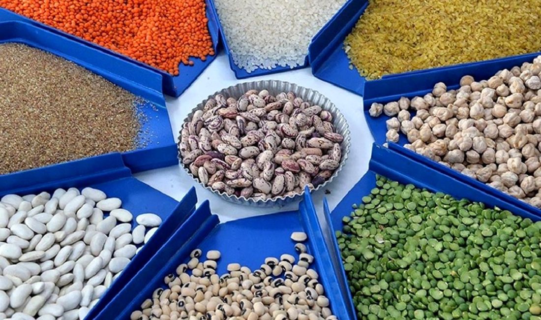 Türkiye Gıda ve İçecek Sektörünün Dış Ticaret Analizi Türkiye gıda ve içecek sektörünün dış ticaretini derinlemesine analiz ediyoruz.