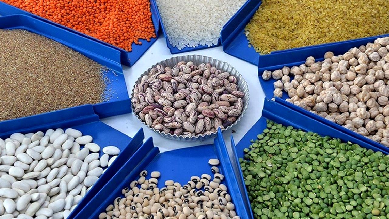 Türkiye gıda ve içecek sektörünün dış ticaretini derinlemesine analiz ediyoruz.