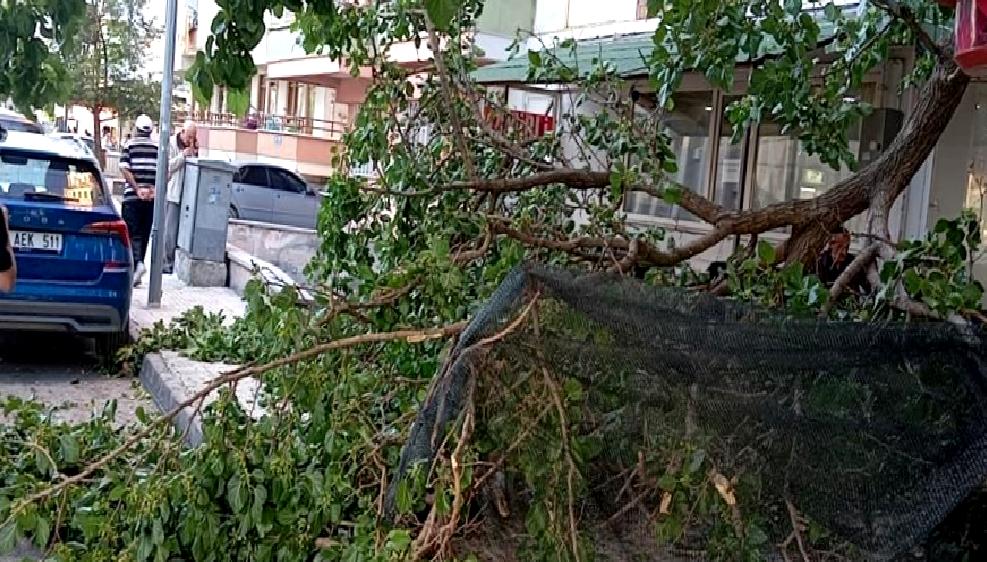 Ulukavak Mahallesi'nde meydana gelen gizemli olayın ardındaki sır perdesi aralanıyor!