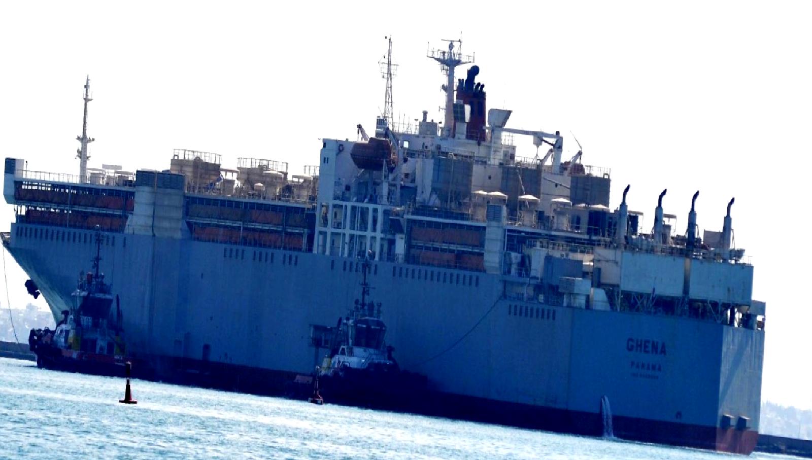 Uruguay'dan ithal edilen Angus cinsi sığırlar Mersin Limanı'na ulaştı. Kaliteli