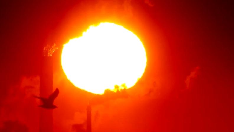 Yeni Delhi'de hava sıcaklığı rekor seviyede! Son günlerde şehir sıcaklıkları