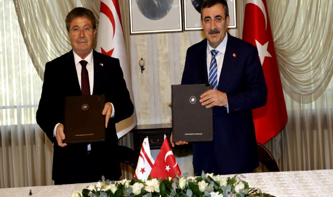 Yılmaz ve Üstel, Kuzey Kıbrıs Türk Cumhuriyeti'nin narenciye sektöründe önemli