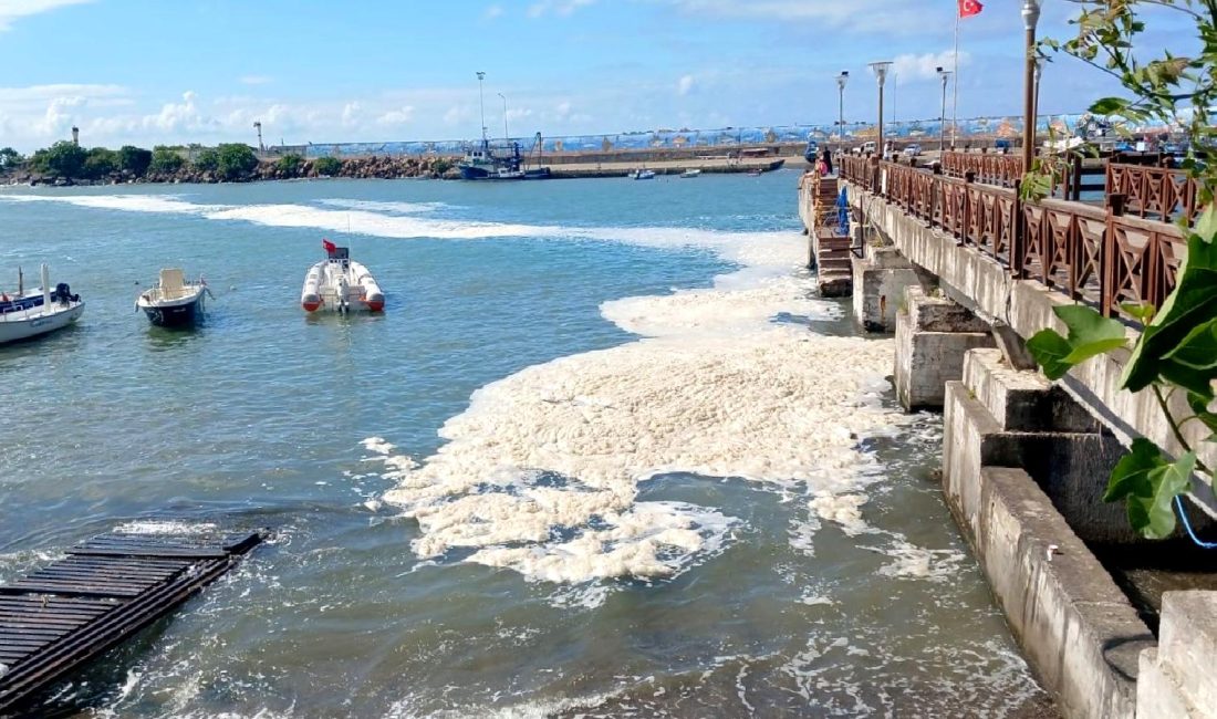 Akçakoca’da Deniz Salyası Müsilajı Görüldü Akçakoca'da deniz salyası müsilajı görüldü! Türkiye'nin Karadeniz sahilinde yaşanan bu