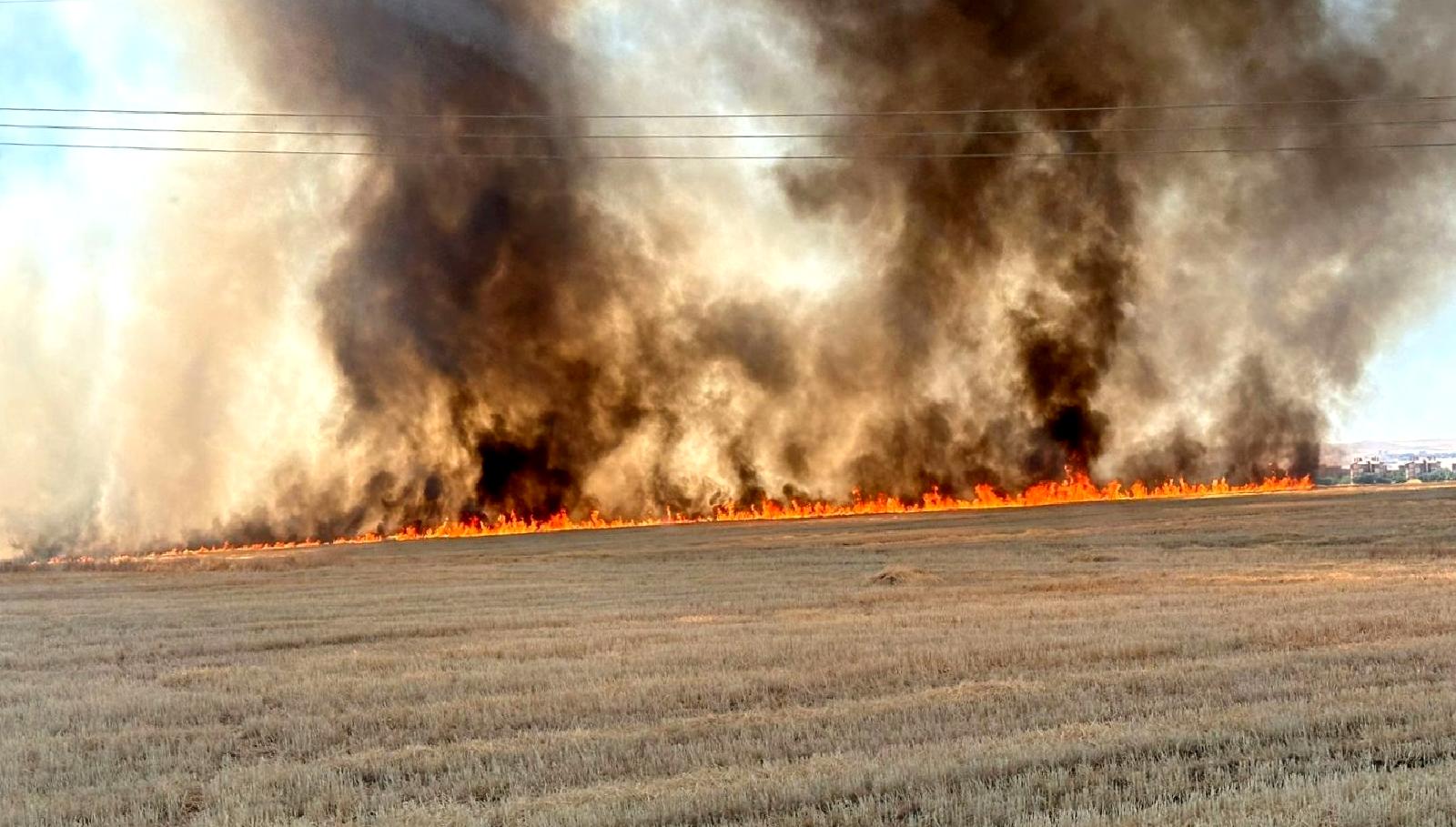 Merkeze bağlı Kayabağı Köyü yakınında çıkan anız yangını kontrol altına