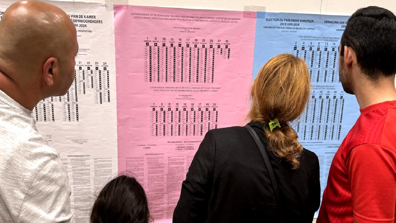 Avrupa Parlamentosu seçim sonuçları ve yeni yasama dönemi hakkında en