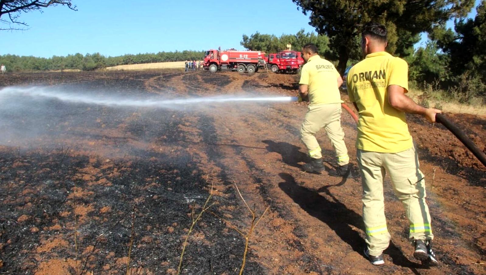 Bayramiç ilçesindeki tarım arazisinde çıkan yangın büyük bir tehlike oluşturuyor.