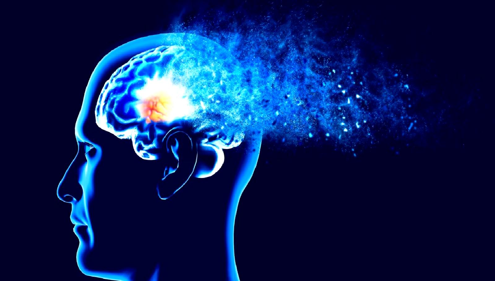 Beynin bilgi depolama kapasitesi ve sinaptik güç konusunda derinlemesine bir