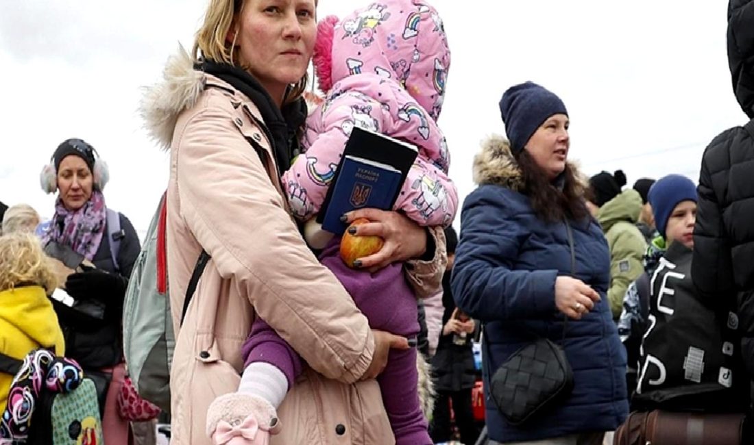 BMMYK Raporuna göre, Türkiye'de zorla yerinden edilme olaylarındaki artış detaylı