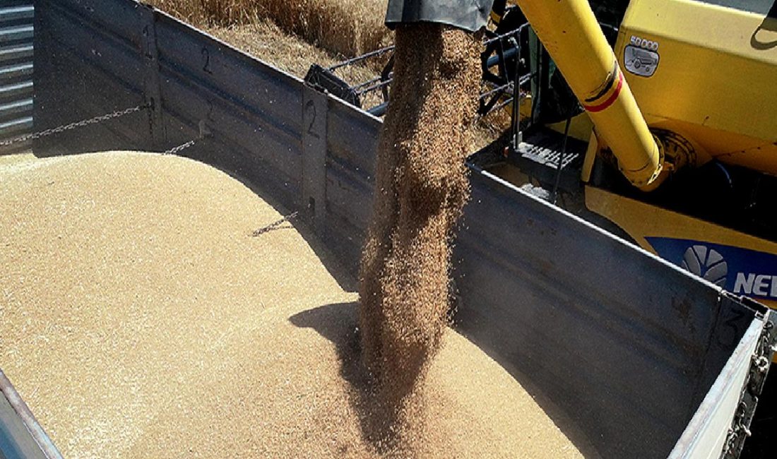 Çiftçiler Buğday Fiyatlarının Revize Edilmesini İstiyor Çiftçiler, buğday fiyatlarının revize edilmesi talebinde bulunuyor. Tarım sektöründeki gelişmeler