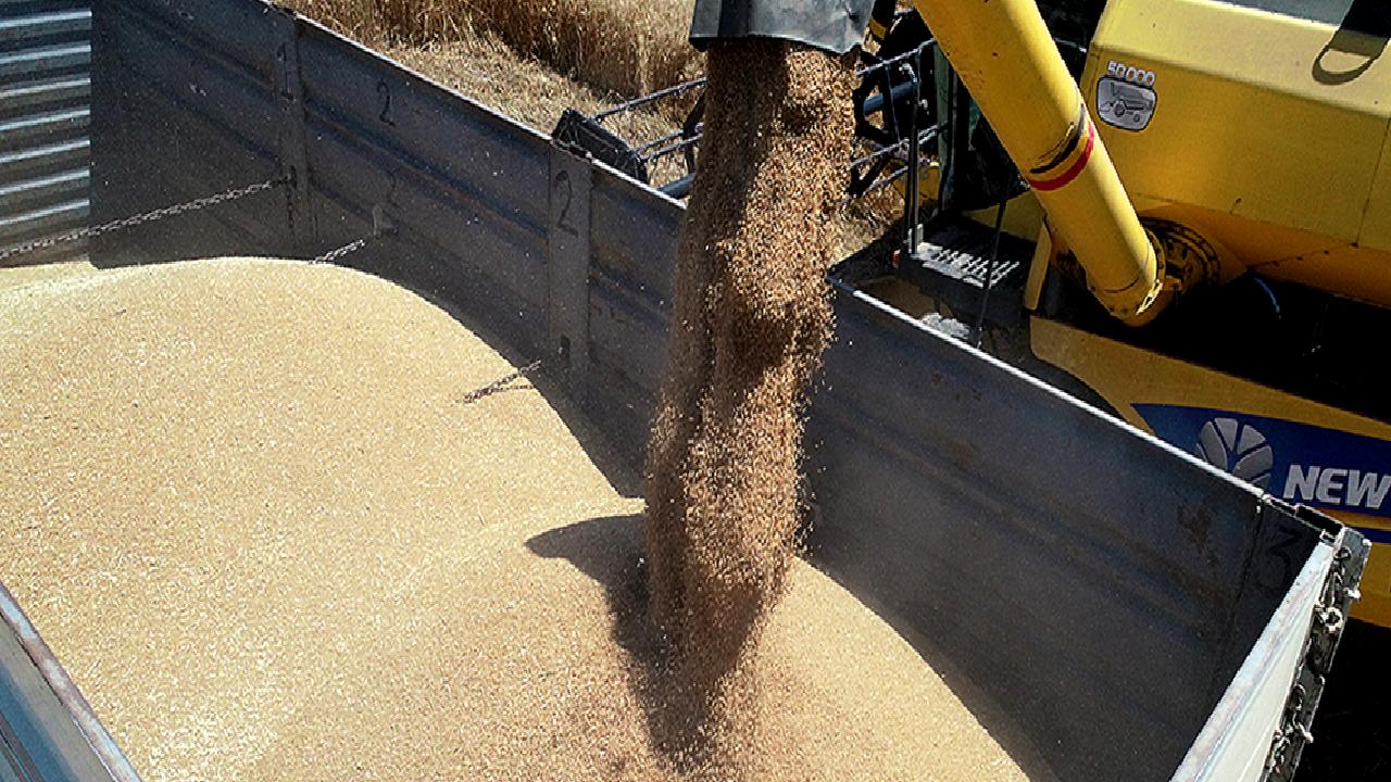 Çiftçiler, buğday fiyatlarının revize edilmesi talebinde bulunuyor. Tarım sektöründeki gelişmeler