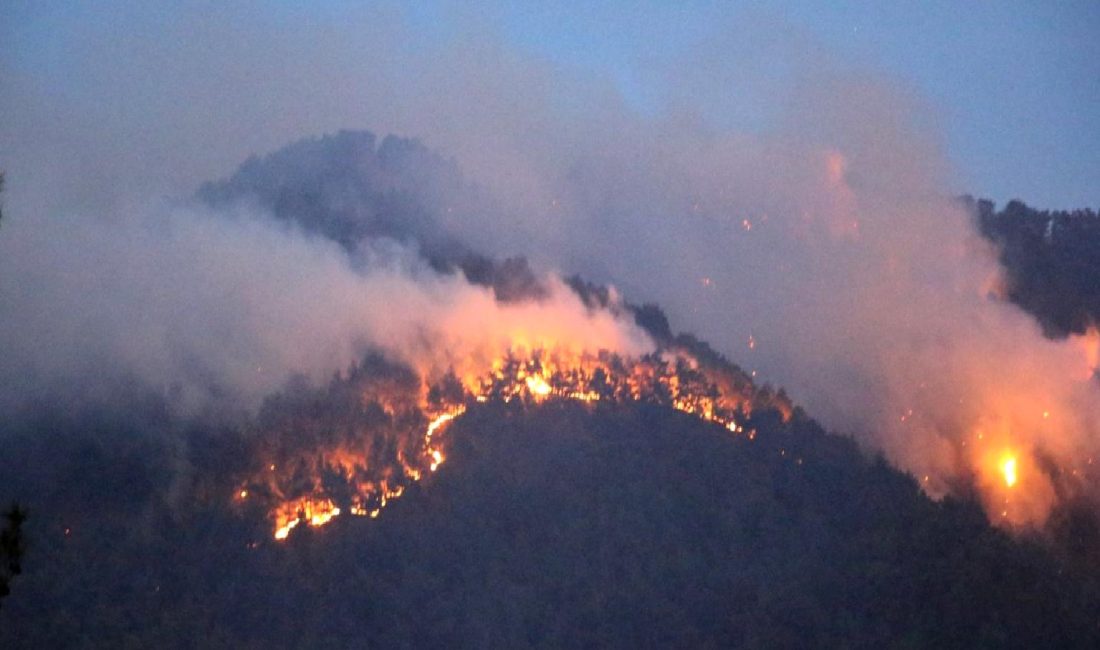 Denizli'de yaşanan orman yangınları hakkında güncel bilgiler. Son durum ve